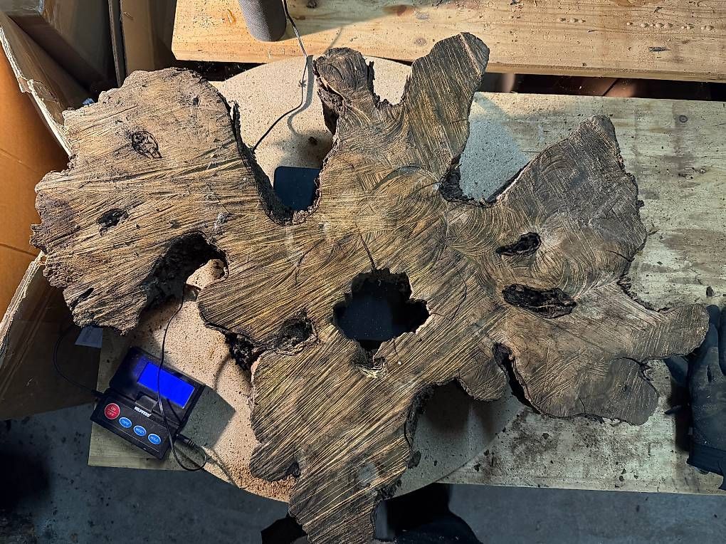 Articoli in legno: Olivenholz Wurzelscheibe W1 – Usato da Buus venduto da macipioji 1