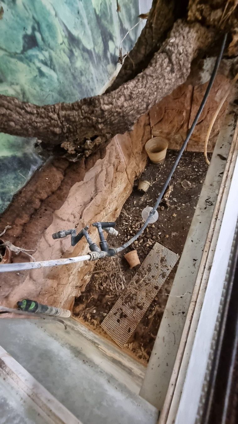 Terrario: Paludarium mit Untermöbel – Usato da Oberentfelden venduto da Myri13 3