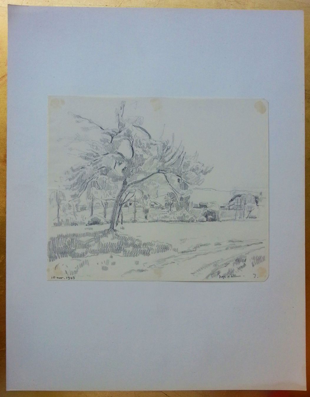 Gemälde: Jacques Jacobi: Zeichnung Bleistiftzeichnung Baum, 1943 – Gebraucht aus Oberriet SG von Manick 1