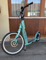 elektro Scooter eScooter 🦮🐕‍🦺eRoller Trotti Dogscooter