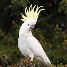 Profile image of Style_2000