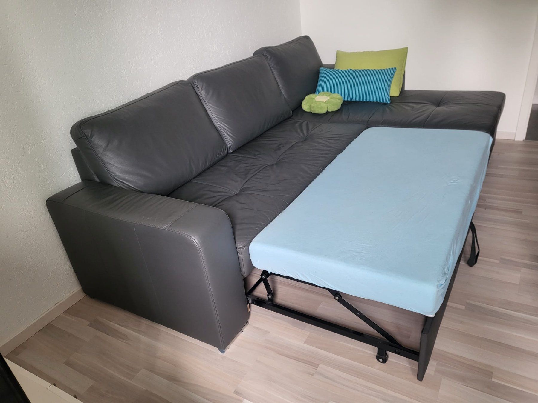 Divani: Ledersofa (Bettsofa) – Usato da Niederhasli venduto da Webernie 1