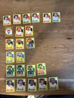 Panini 2026