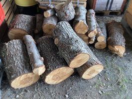 Brennholz Föhre Nadelholz