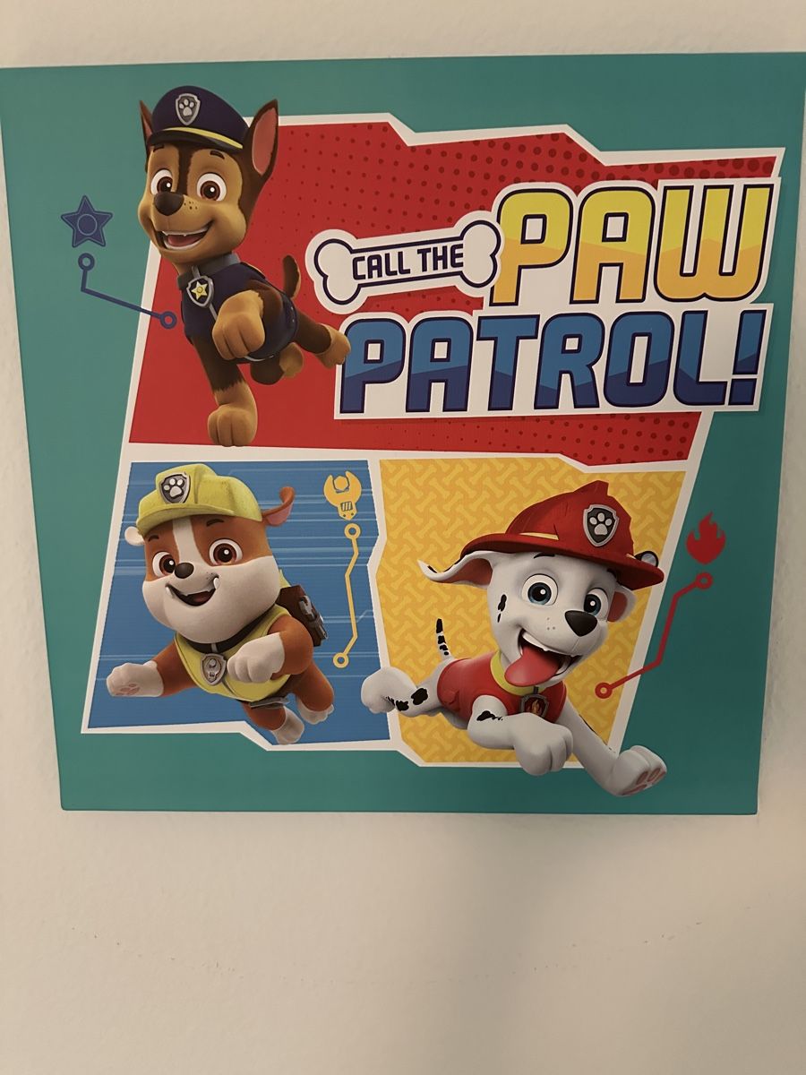 Foto & Immagini: Paw patrol bilder – Nuovo (secondo la descrizione) da Cham venduto da Ildi12 1
