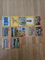 12 FWC Paninis zur WM 2026