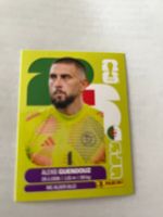 Panini World Cup 2026