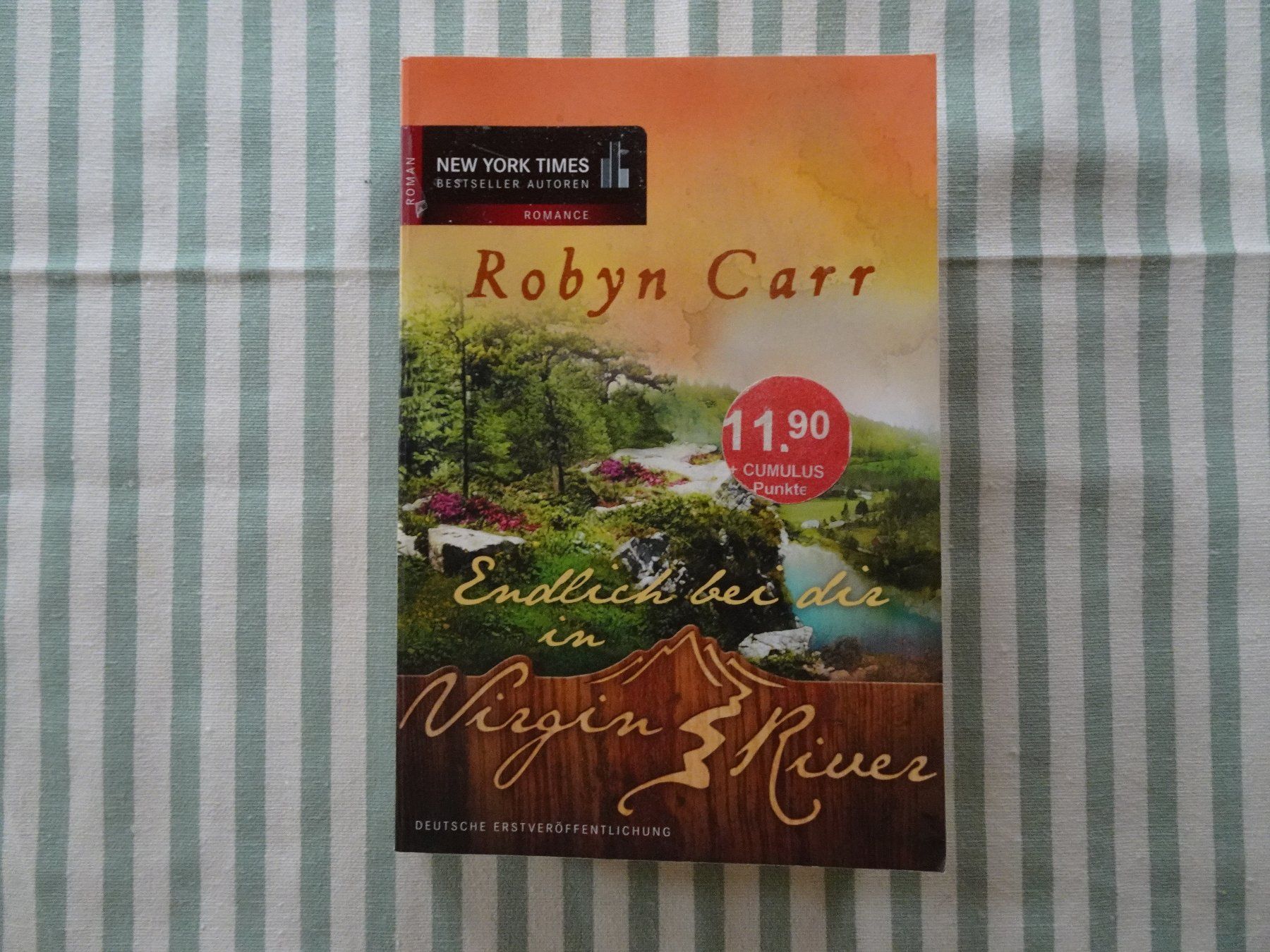 Libri: Robyn Carr - Endlich bei dir in Virgin River - Liebe - B264 – Usato da Küssnacht am Rigi venduto da Bookslove-Divers