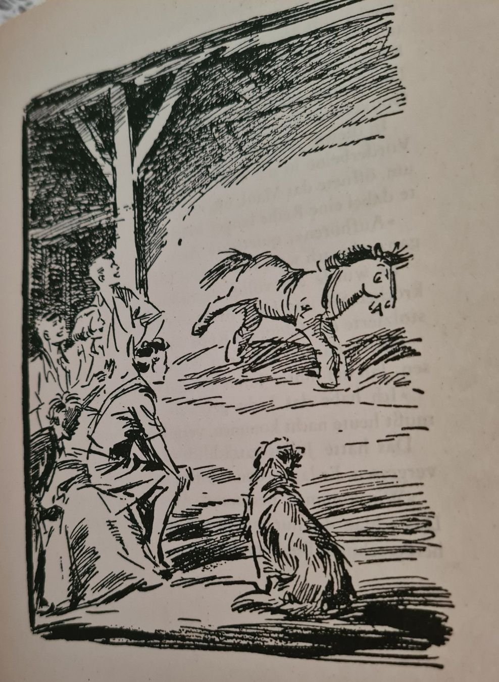 Libri: 4 Bücher: 5 Freunde von Enid Blyton – Usato da Winterthur venduto da bibummi 8