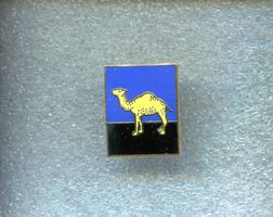 CAMEL