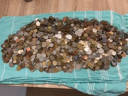 9 Kg weltweit Lot I