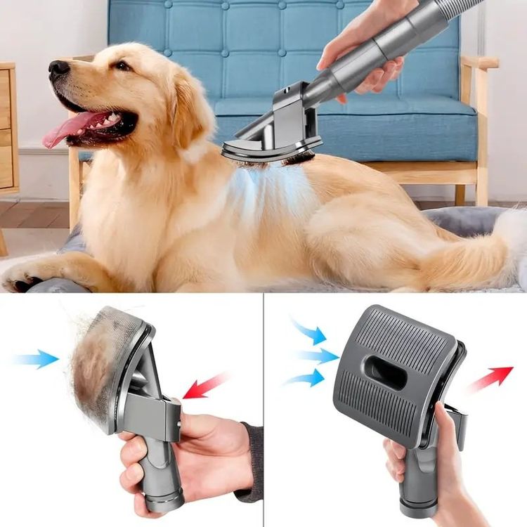 Dyson Staubsauger Fur Tierhaare