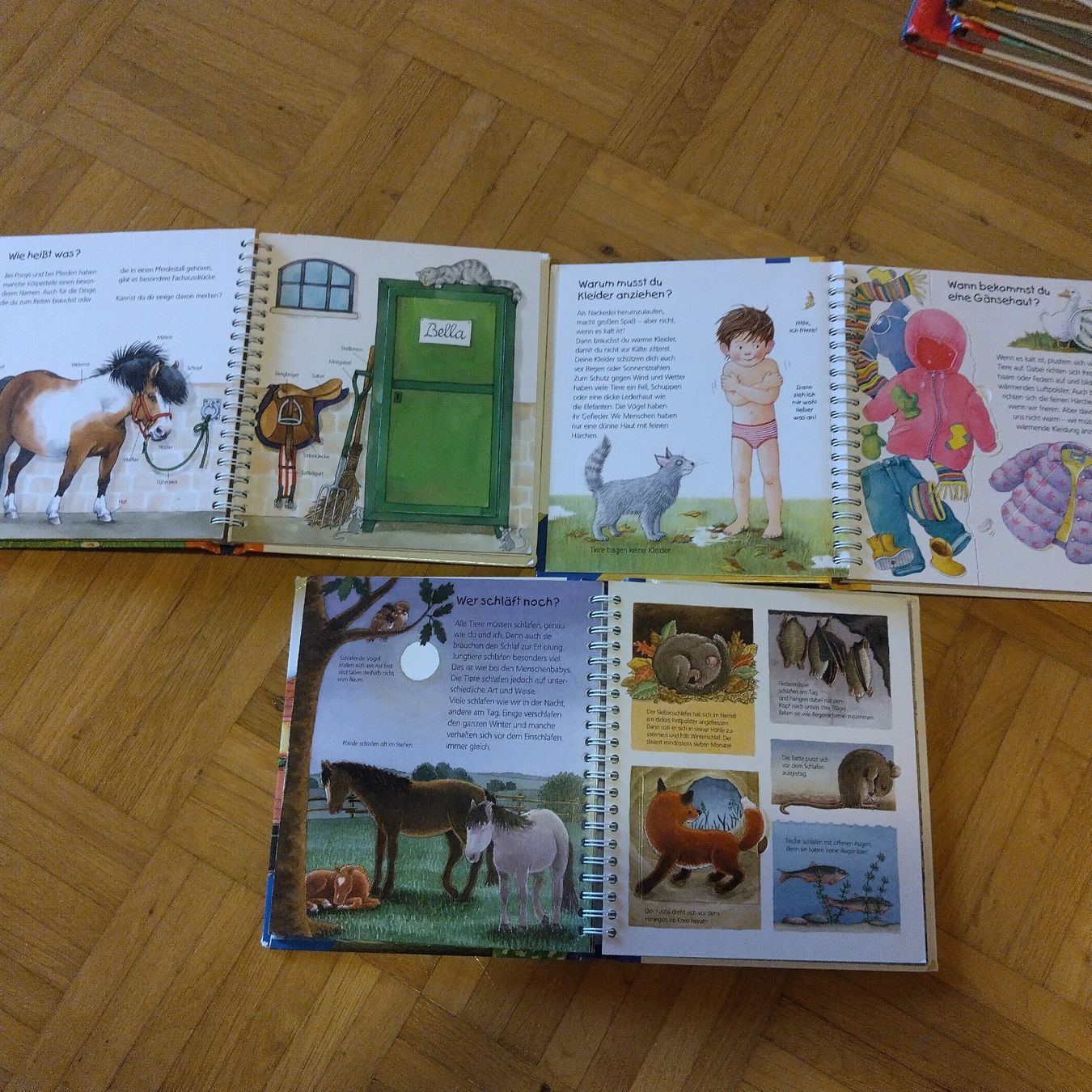Livres: 3 Kinderbuecher Ravensburger Junior – D'occasion à Oberdorf NW par niederj 3