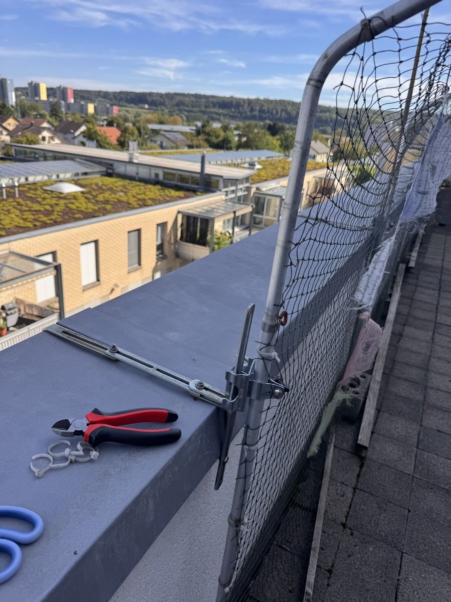 Altro: Balkongitter – Usato da Solothurn venduto da Mira24 2