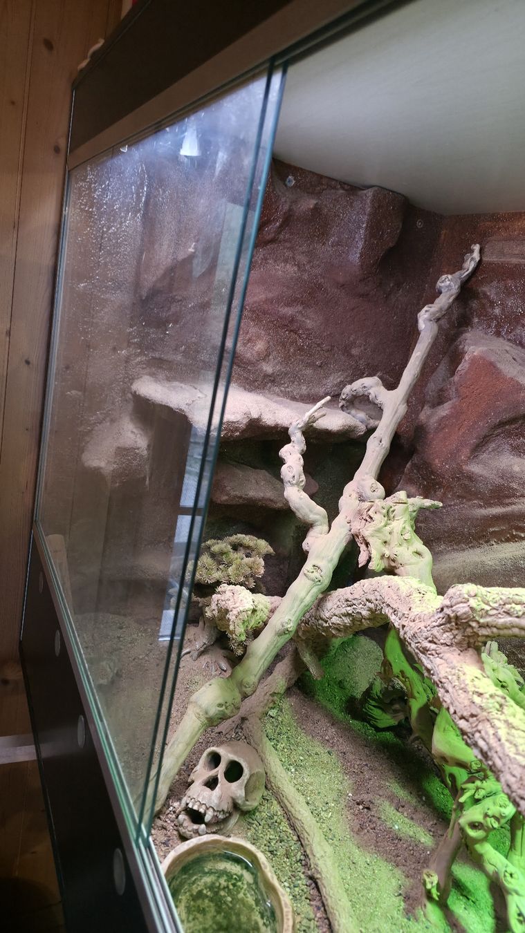 Terrariums: Terrarium – D'occasion à Walkringen par mar_gm5h 4