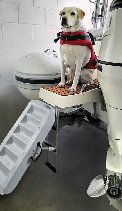 Scale: leichte Badeleiter für Hunde – Usato da Ballwil venduto da Luber14