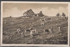 Gast U.Kurhaus Alp scheidegg Bei Wald ZH