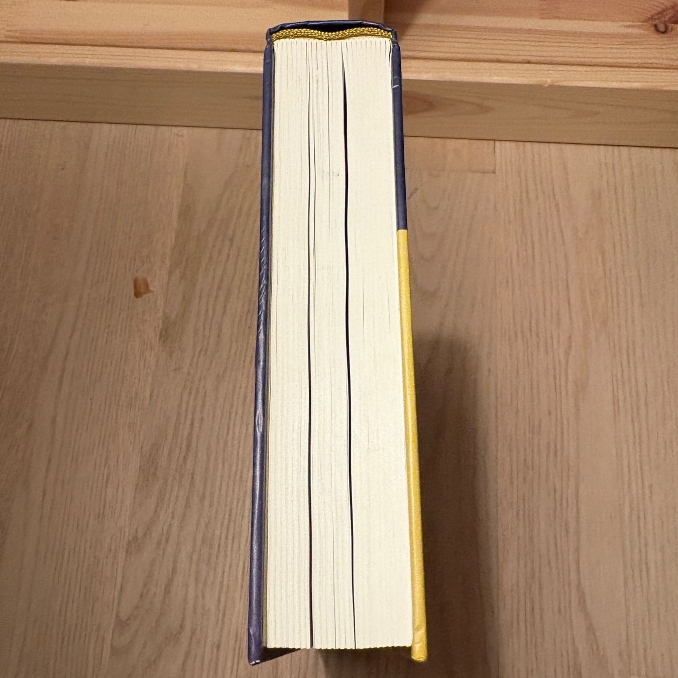 Libri: Frisch: Programmierte Untersuchung des Bewegungsapparates! – Usato da Elgg venduto da Jo_Naj 2