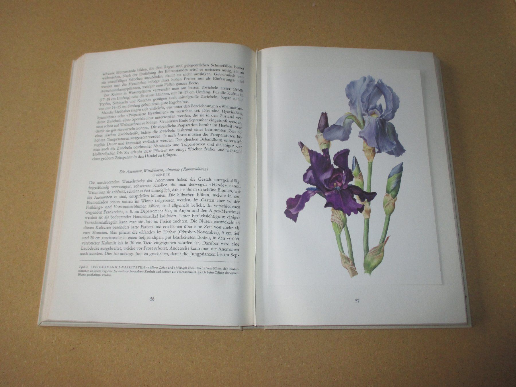 Libri: Wunderwelt der Gartenblumen, 2 Bände – Usato da Flims - Dorf venduto da Stagediver 1
