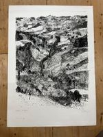 Lithografie / Oberwald von Hugo WETLI 1971      (ID B5723)