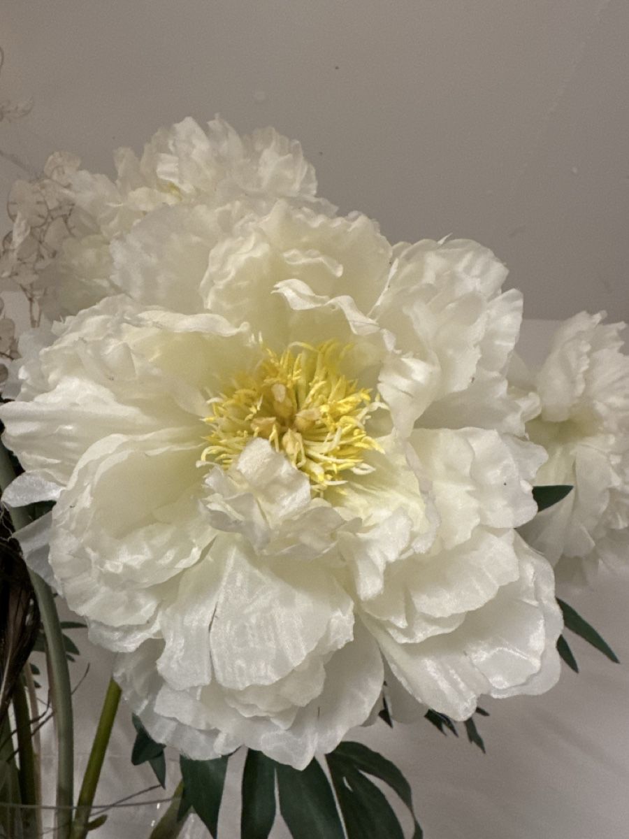 Tutte le decorazioni: Seidenblumen, Kunstblen, Pfauenfedern, Silberlinge – Usato da Wangen SZ venduto da Chafler78 1