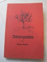Bärnergwächs