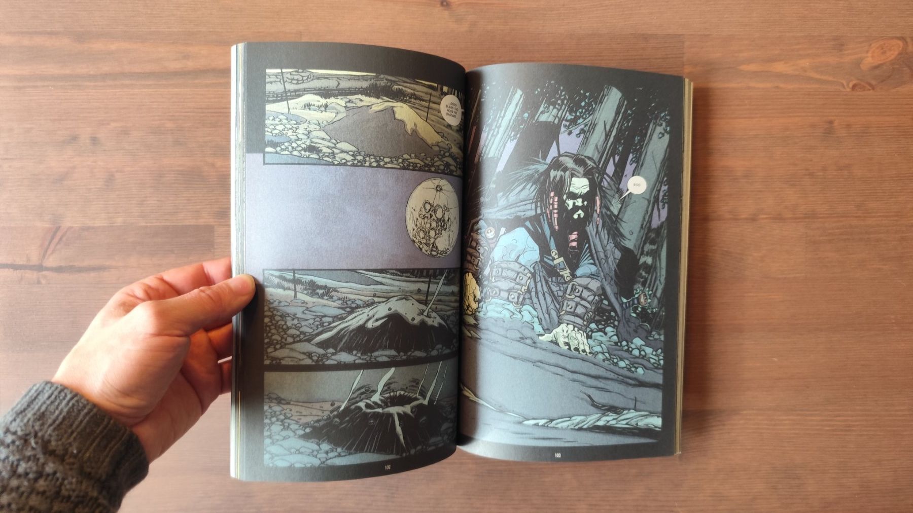 Fumetti: Northlanders Metal TPB: Wikinger Saga, Englisch, Vertigo – Usato da Liebefeld venduto da Oakman771 2