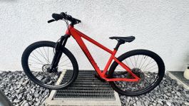 Ghost Bike Red