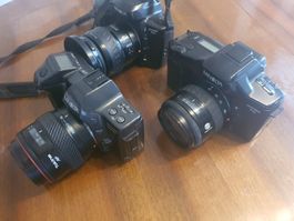 Lot 3 x Minolta Analog Spiegelreflex - Dynax 8000i 5xi 7xi