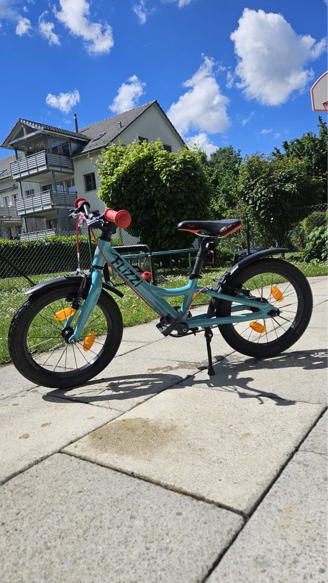 Flizzi Biciclette: FLiZZi 16 Zoll Kindervelo – Usato da Unterengstringen venduto da Janosch246 2