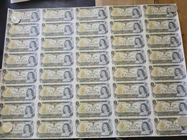 Kanada 1 Dollar BANKNOTENBOGEN40 Stk. Neuwertig! 