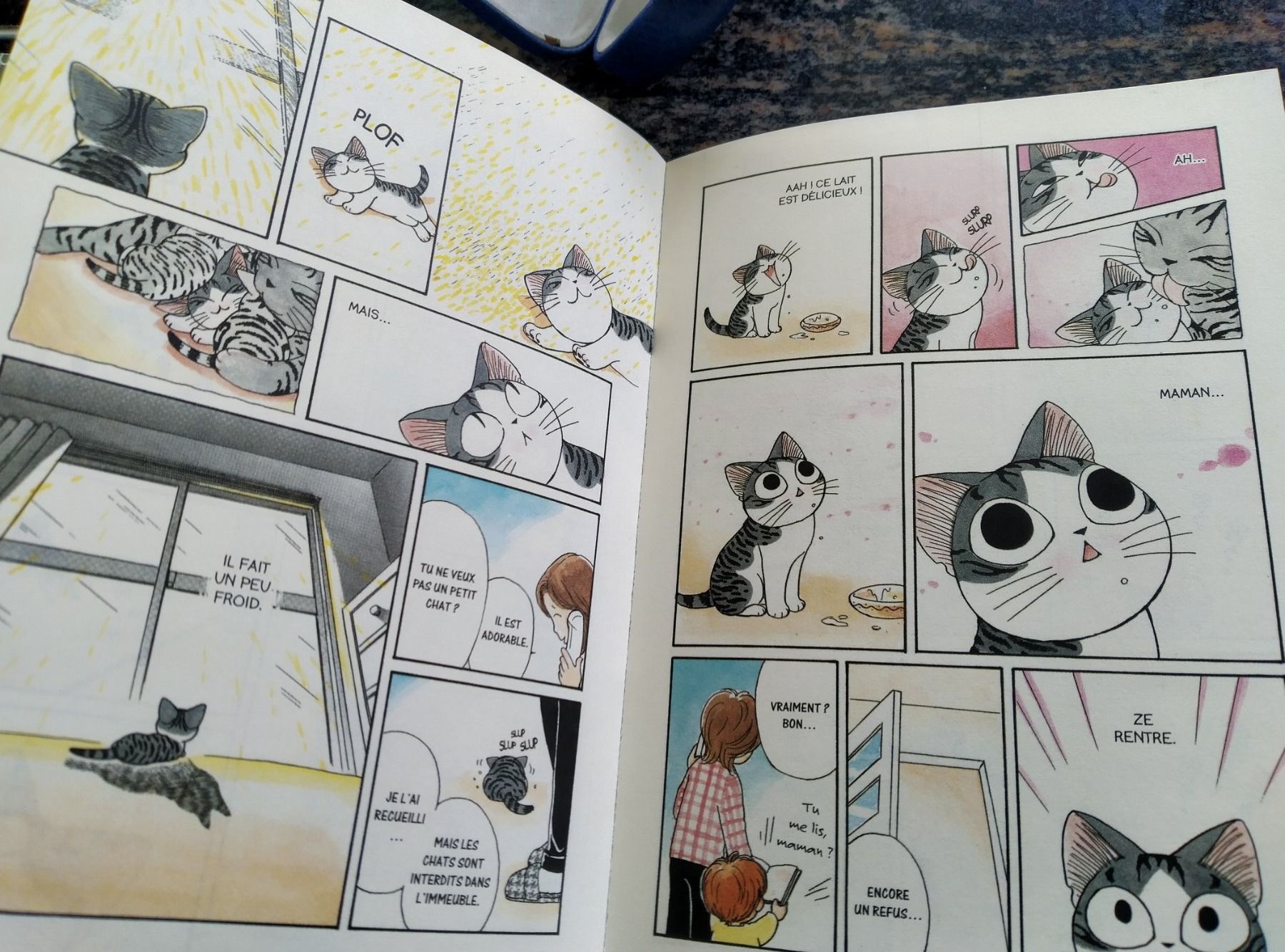 Libri: Chi - Une vie de chat Tome 01 MANGA – Usato da Cortaillod venduto da rozinna 4