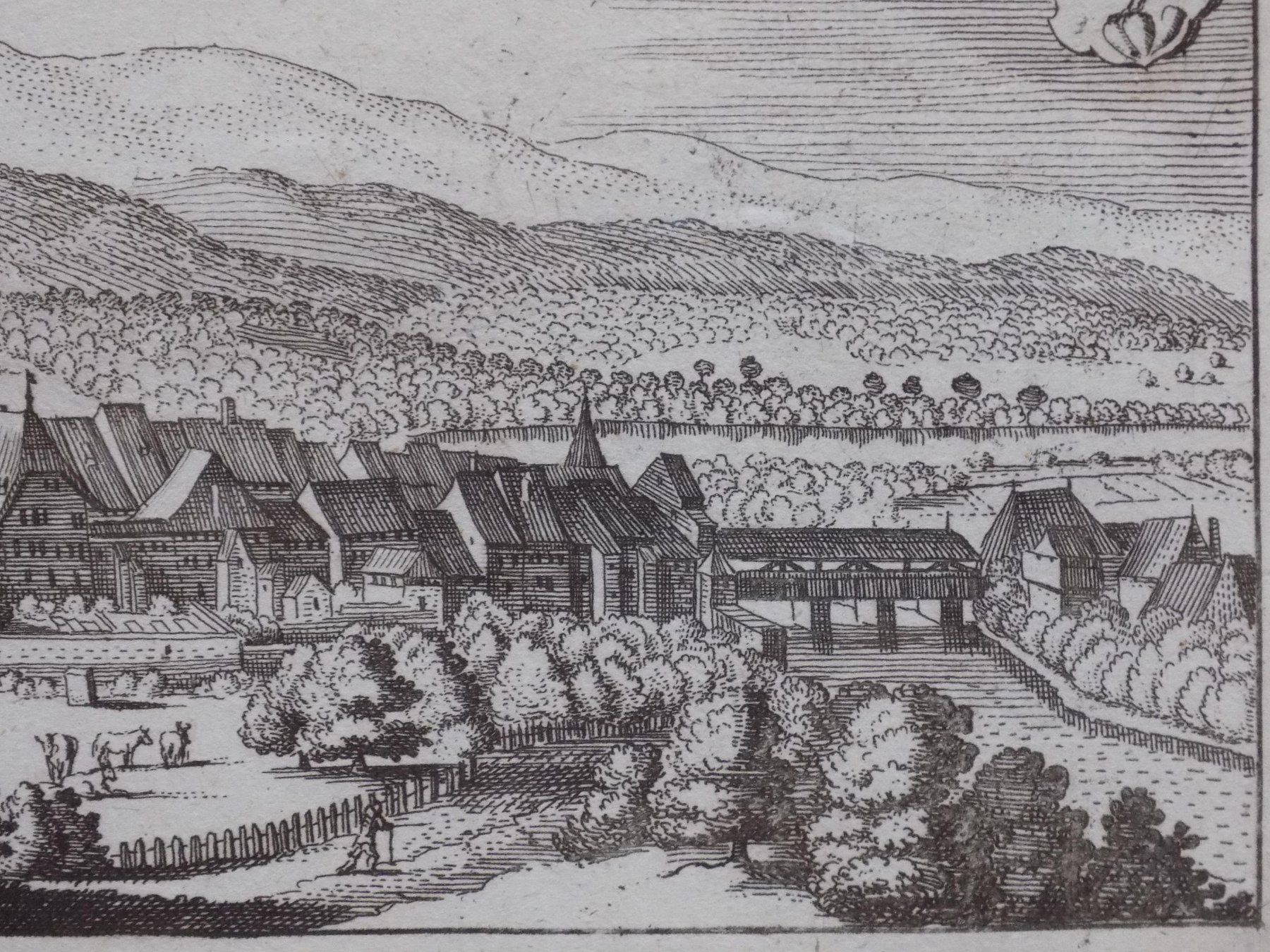 Incisioni: Aarberg von Scheuchzer – Usato da Risch venduto da Rischli15 8
