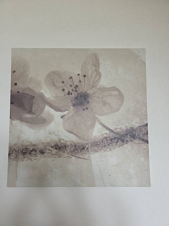 Foto & Immagini: Wandbilder 56cm x 56cm – Usato da Basel venduto da CelineAlicia97 1