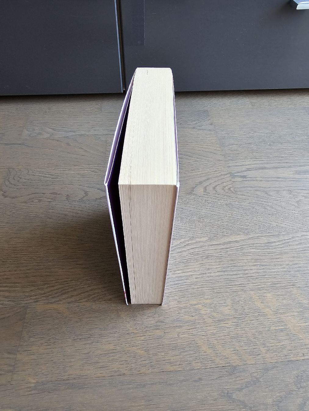 Libri: Das Meer der Seelen - Jodi Meadows – Usato da Hinterforst venduto da impatiently 4