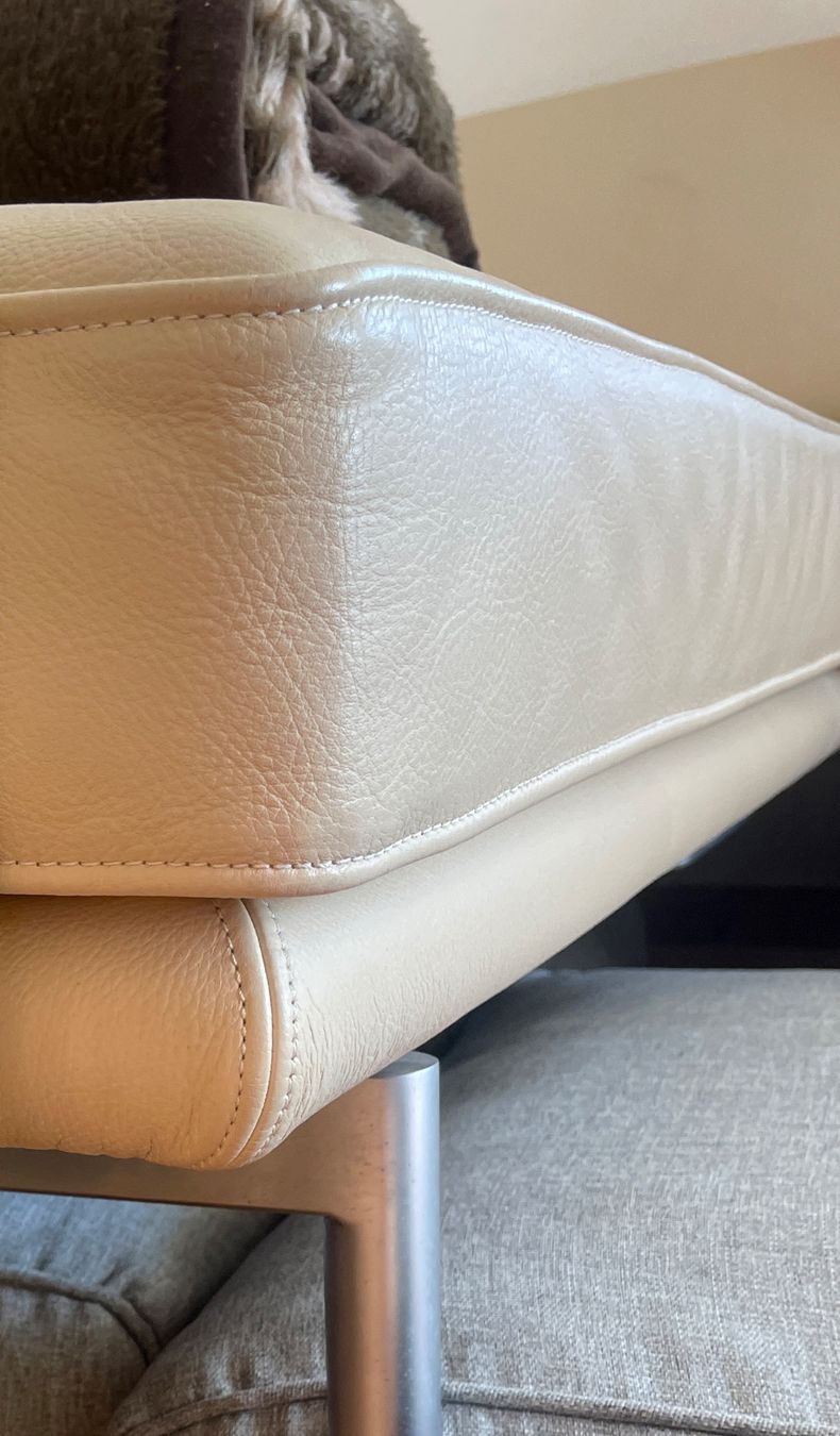 Knoll Divani: Walter Knoll - Design Sofa Living Platform – Usato da Zürich venduto da Mimisis 1