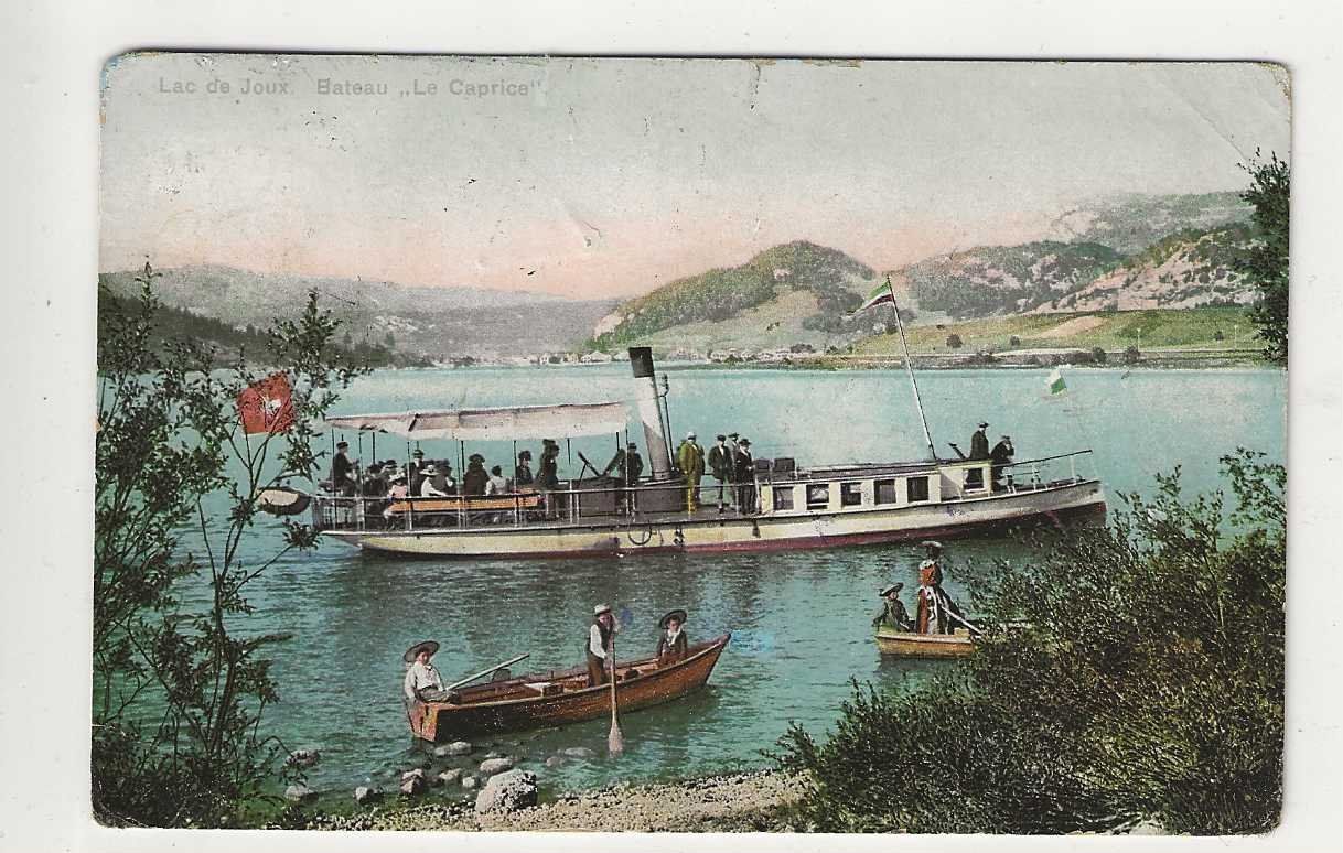 Cartoline postali: Lac de Joux, 1909 – Usato da Spiez venduto da Niesen20