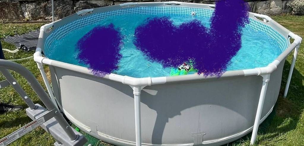 Piscine: Pool 305x76cm – Usato da Schafisheim venduto da amey8 1