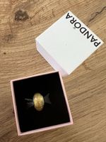 Pandora x Disney Ldt. Ed. Belle murano Charm