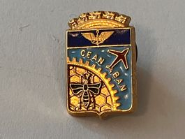 1 Pin Cean Ban