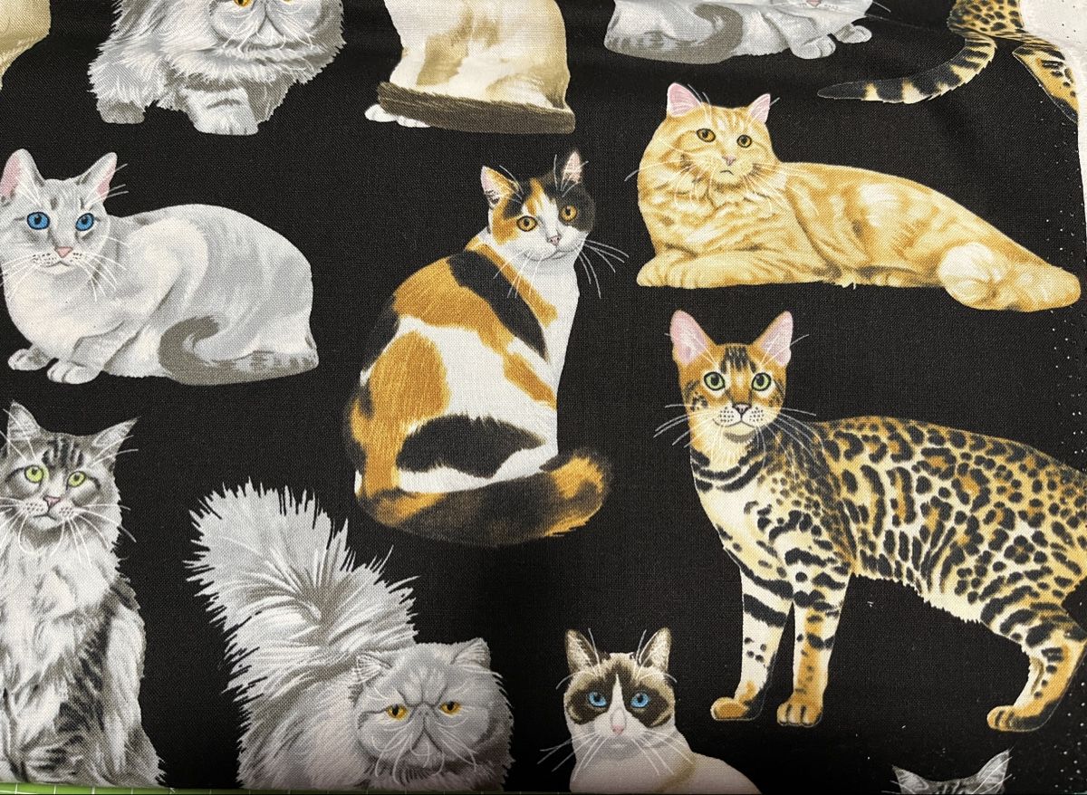 Tessuti: Patchworkstoffe Katzen – Nuovo (secondo la descrizione) da Seuzach venduto da KreativmitStoff 2