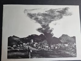 MAX HUNZIKER ZINKÄTZE SIGNIERT BLATTGRÖSSE 76X54CM
