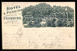 Lithographie Trimbach /SO, Hotel und Pension Frohburg auf de