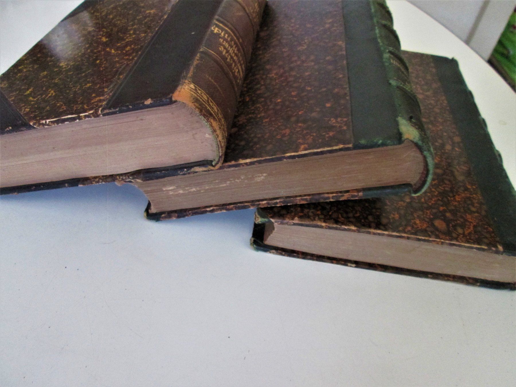 Bücher: Schweizerifchen Gidgenoffenfchaft, 3 Bände – Gebraucht aus Sementina von babucia 1