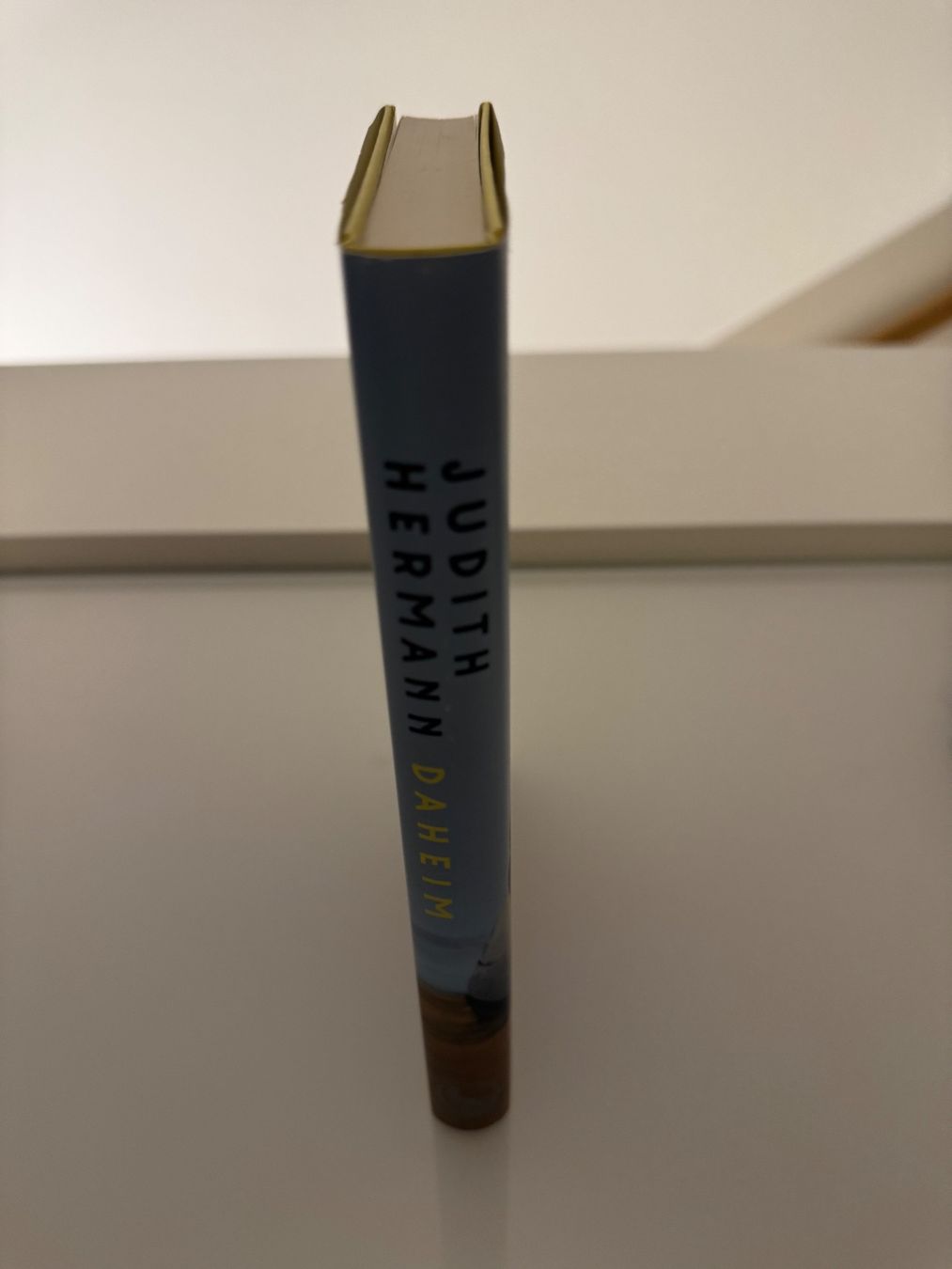 Livres: Judith Hermann – Daheim | Hardcover – D'occasion à Dietikon par Julia.obers 1