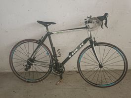 Trek domane