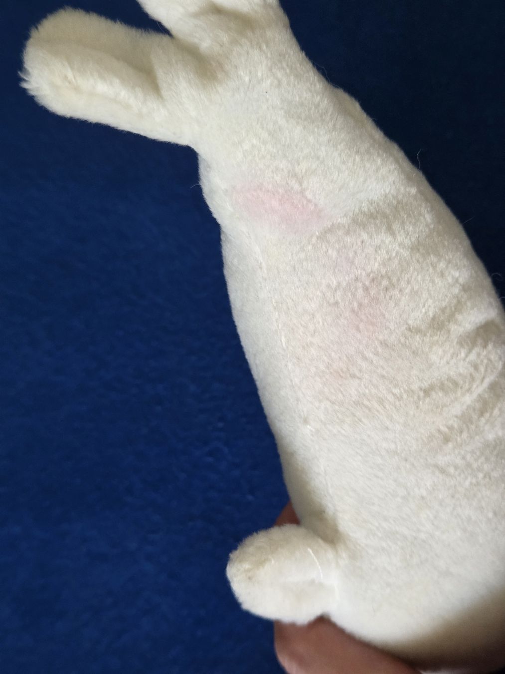Giocattoli: Seehund, Plüschtier – Usato da Rickenbach-Sulz venduto da Bacardibabe 3