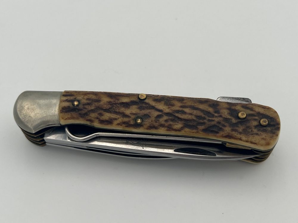 Horn Jagdmesser, Hase Rostfrei messer landis Chur | Kaufen auf Ricardo