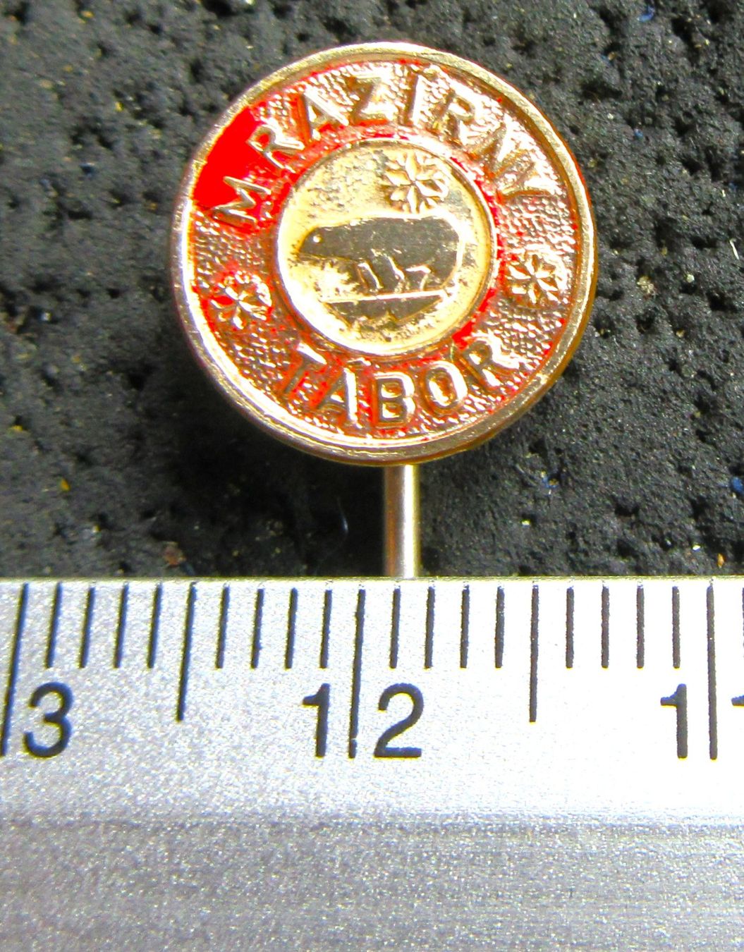 Placchette & Badge: TSCHECHIEN TABOR ANSTECKNADEL – Usato da Ettingen venduto da Hausi4711