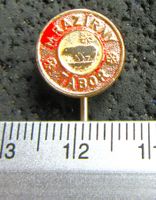 TSCHECHIEN TABOR ANSTECKNADEL